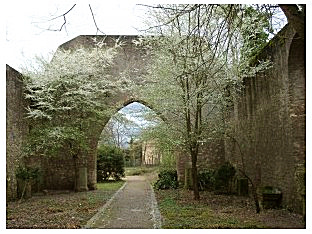 Ruine Liebfrauenkirche in Westhofen